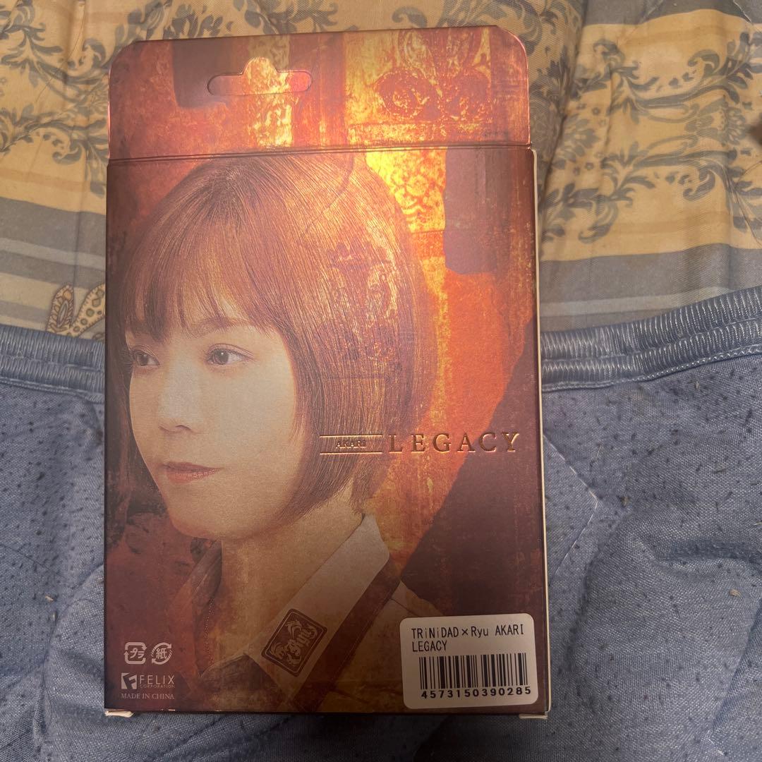 AKARI LEGACY 大城明香利