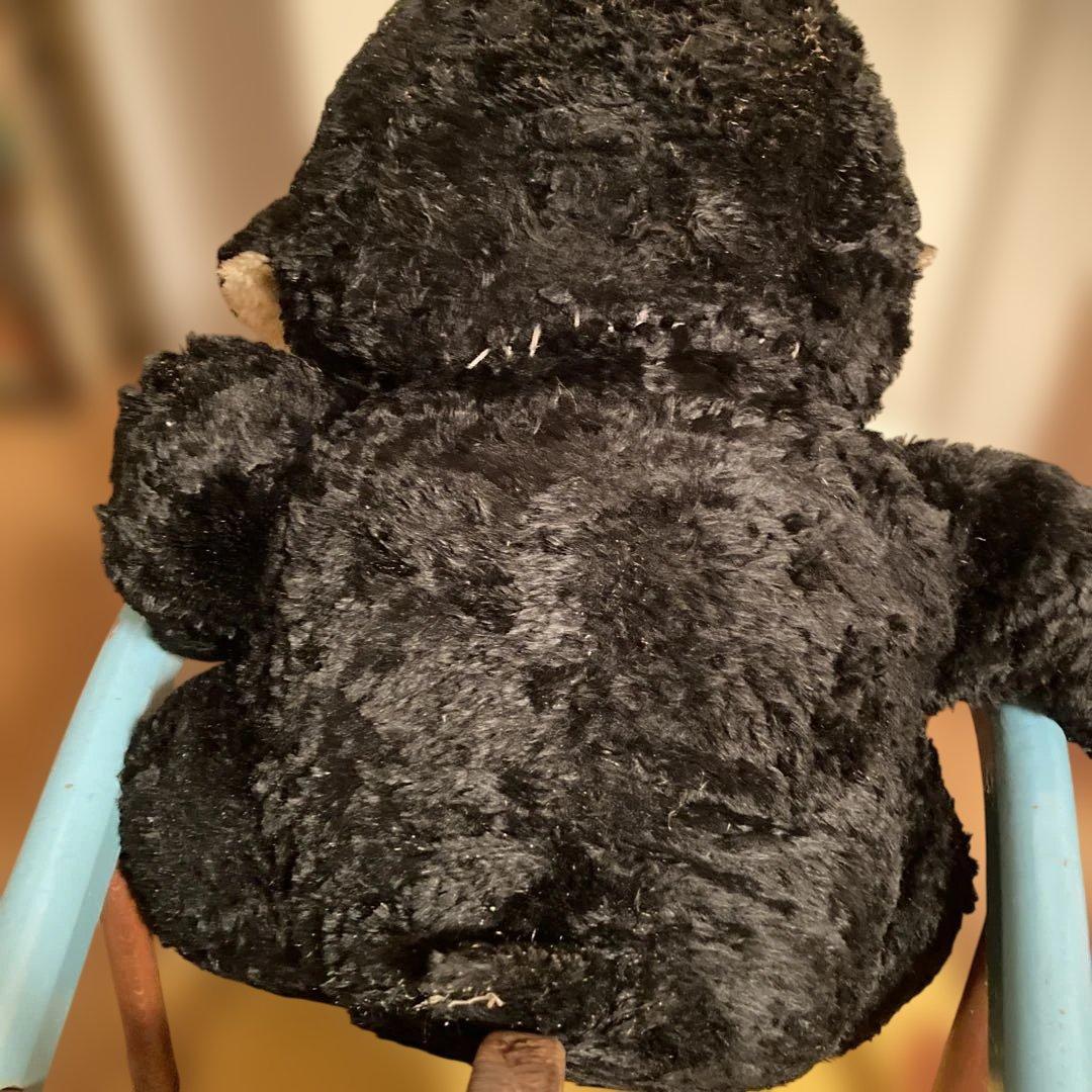 ラシュトンチャビードール