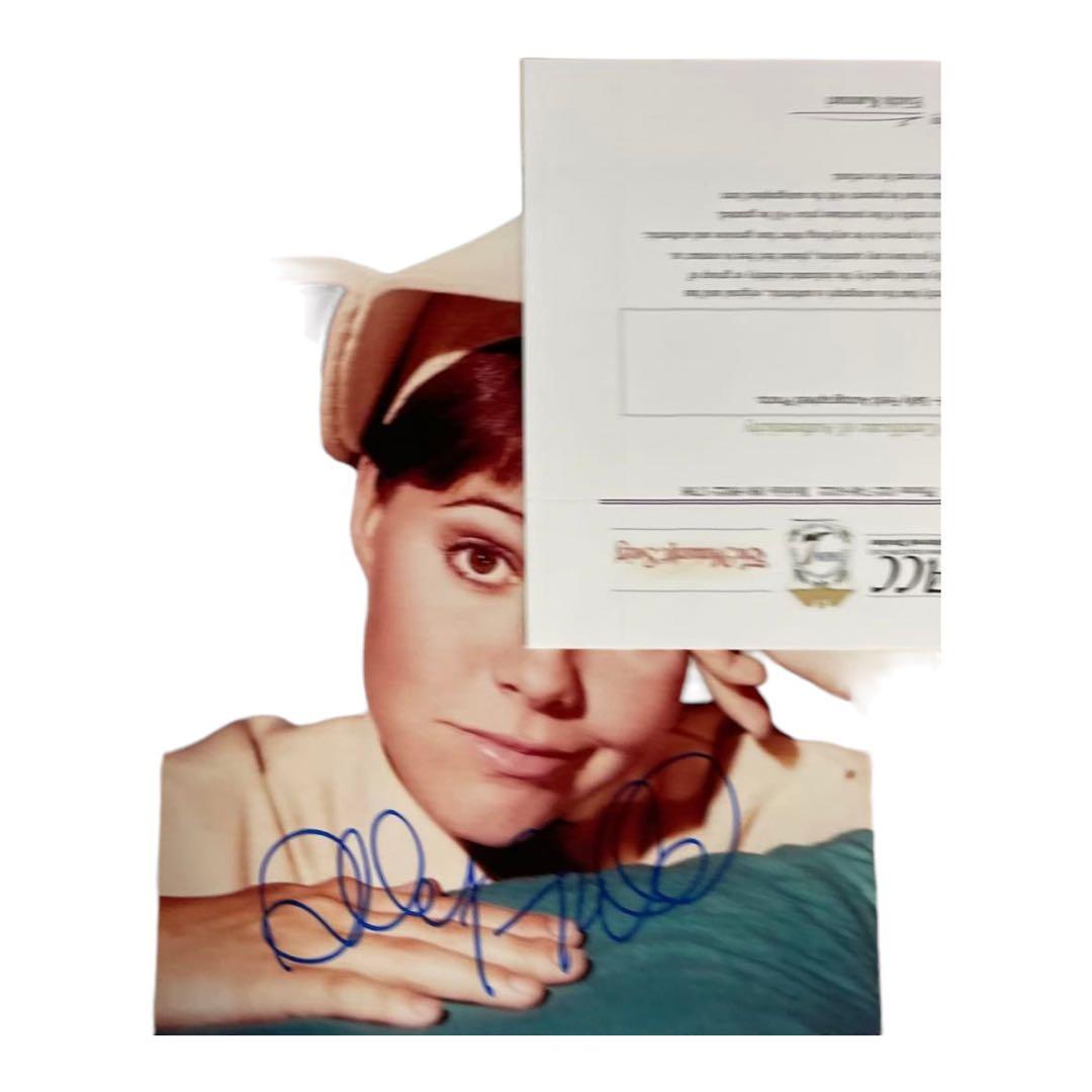 84   サリーフィールド　いたずら天使