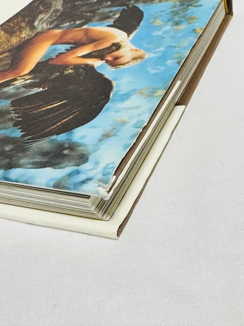 Pierre et Gilles - Göttliche Körper アート本