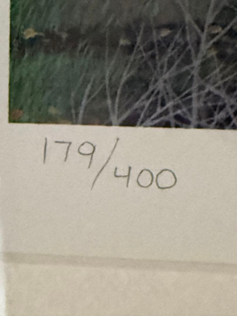 アレキサンダー・チェンAlexander Cheシルクスクリーン版画　保証書付き