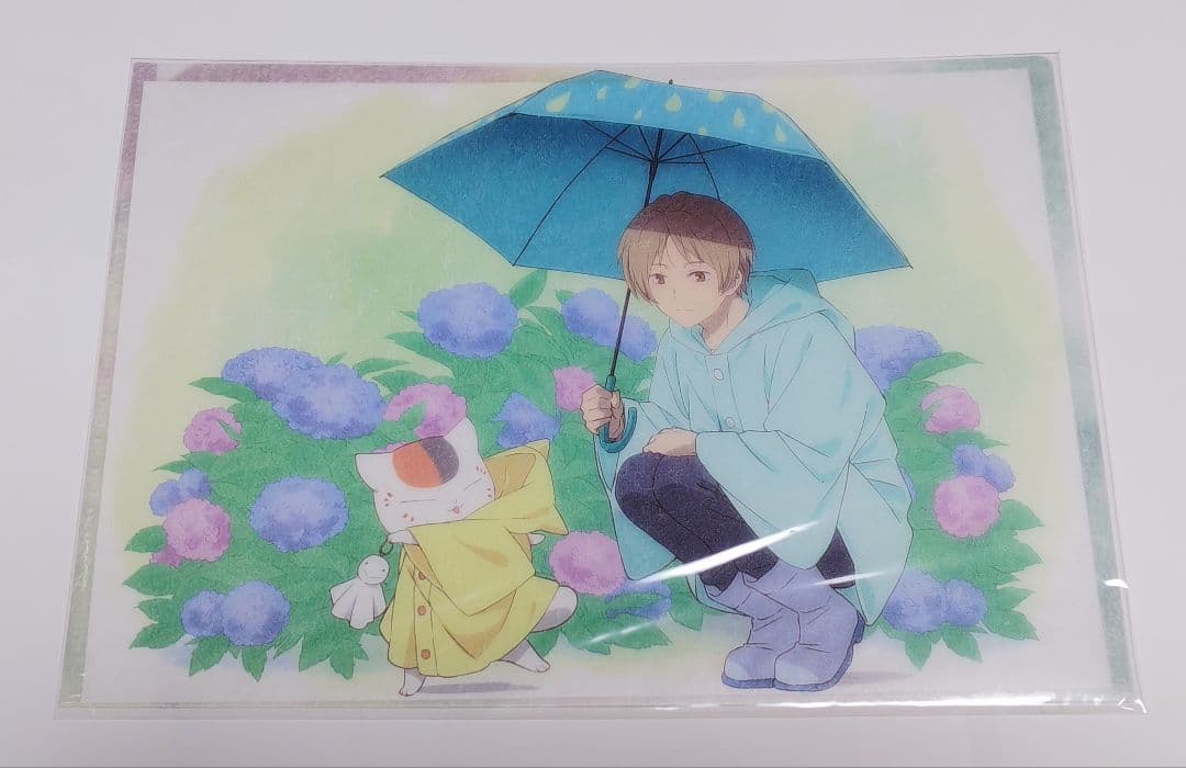 稀少 夏目友人帳 クリアファイル 石起こしと怪しき来訪者 アニメイト 特典