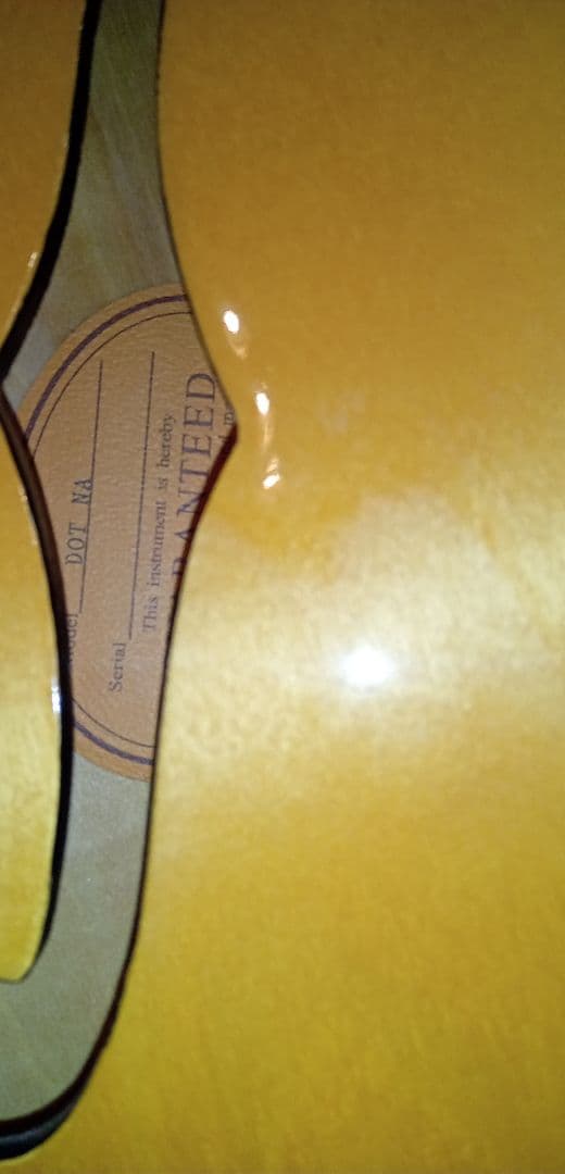 Epiphone DOT セミホロウボディ ナチュラル