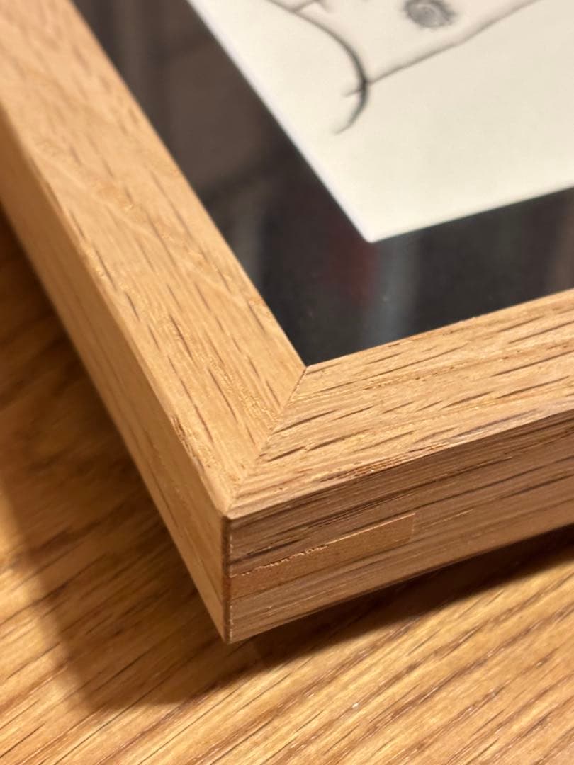 山口一郎 原画　（フレーム込）ゾウ