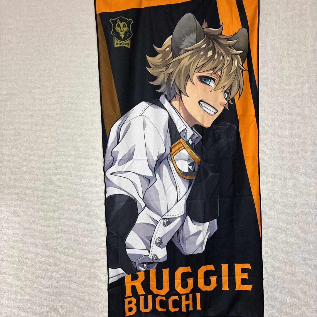 Ruggie Bucchi タオルとグッズセット