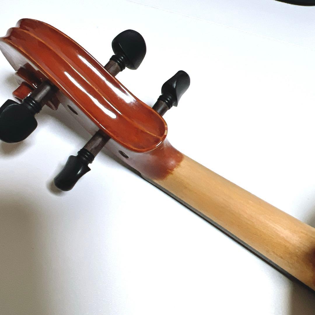 【美品】Andreas Eastman VL80 1/10 イーストマン