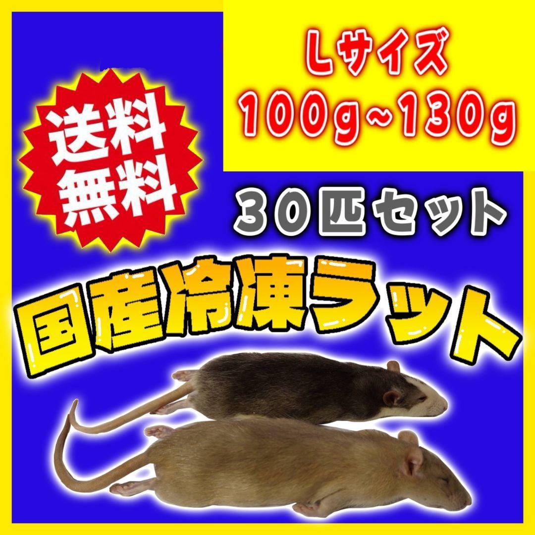 冷凍ラット 30匹セット 100~130g