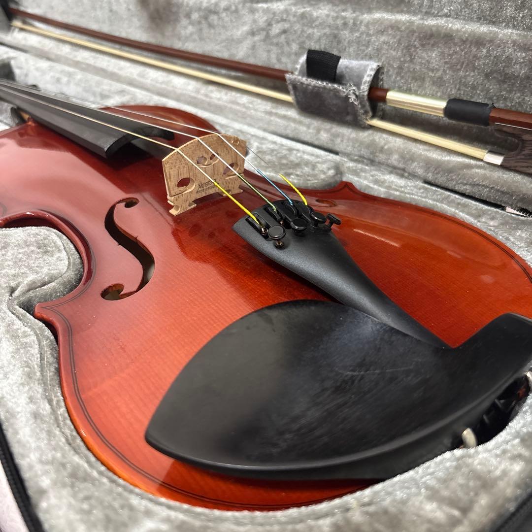 ☆【極美品】バイオリン Josef Jan Dvorak　No.220 4/4