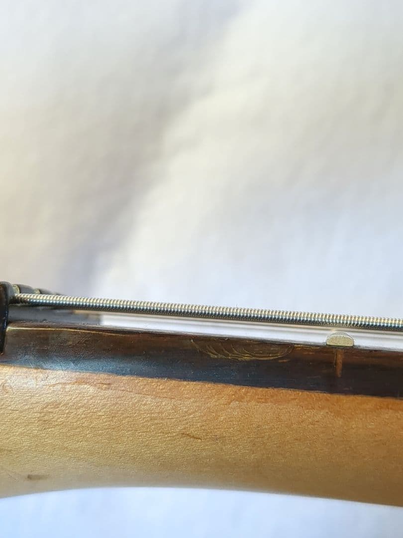 Washburn MG722 Stevie Salas Model 送料無料