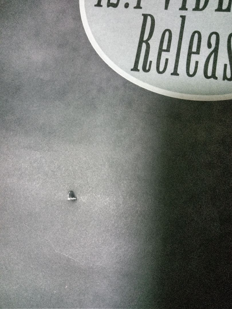 初期　L'Arc〜en〜Ciel　ポスター　ラルク　インディーズ　ヴィジュアル系