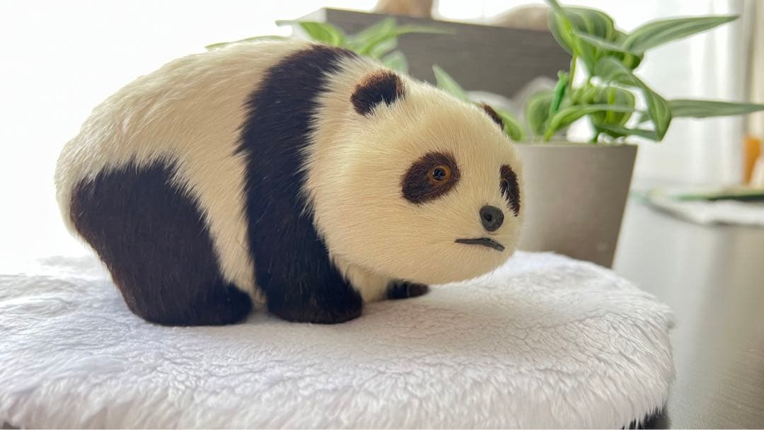 パンダ　本物の様！毛並みが可愛いです！オブジェ　置き物　インテリア