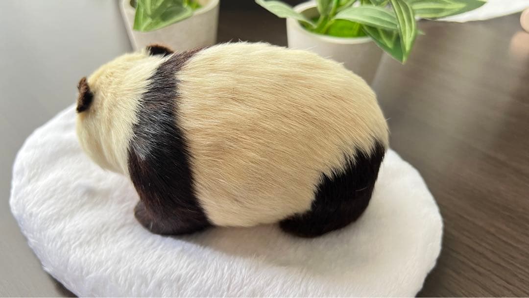 パンダ　本物の様！毛並みが可愛いです！オブジェ　置き物　インテリア