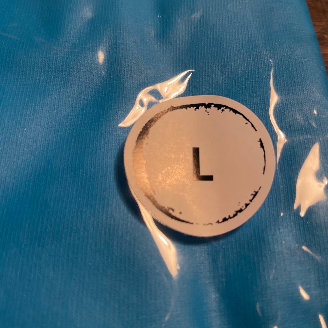 THE BLUE HEARTS Tシャツ Lサイズ ホワイト/ブルー