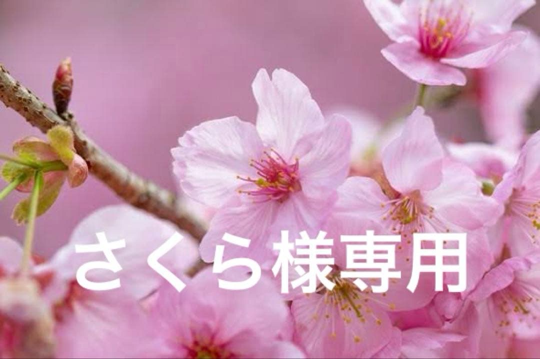 さくら