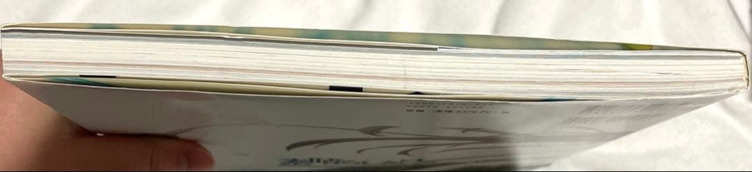 【使用感あり】素晴らしき日々 不連続存在 公式ビジュアルアーカイヴ すかぢ