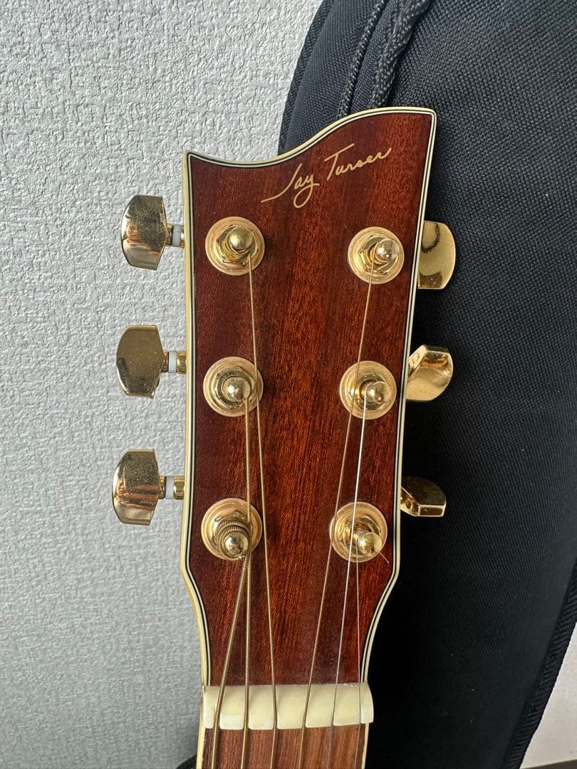 Jay Turser MODEL No. 500 プロ仕様 ※31※