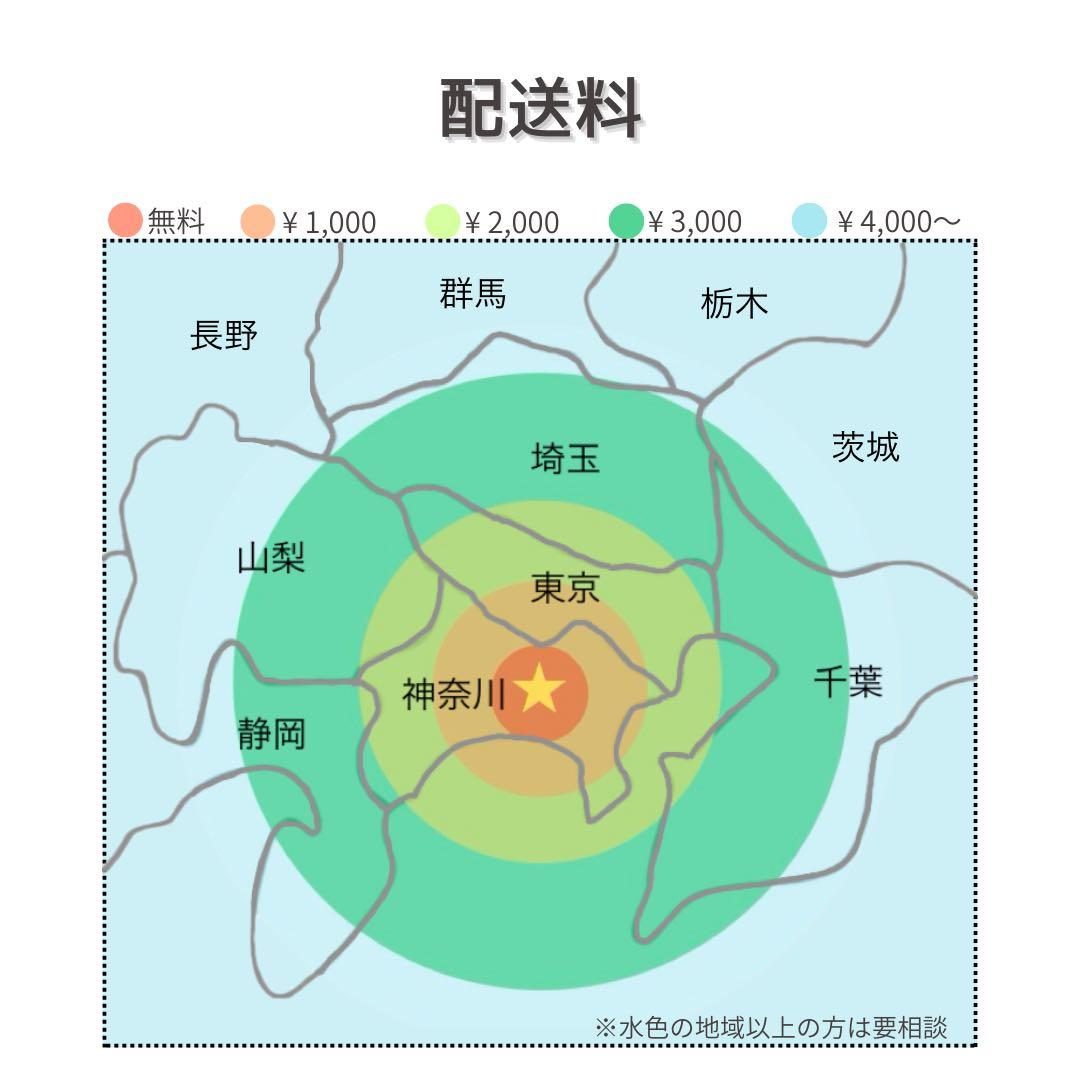 SONY BRAVIA KJ-49X9000E 4K液晶 Android 49型