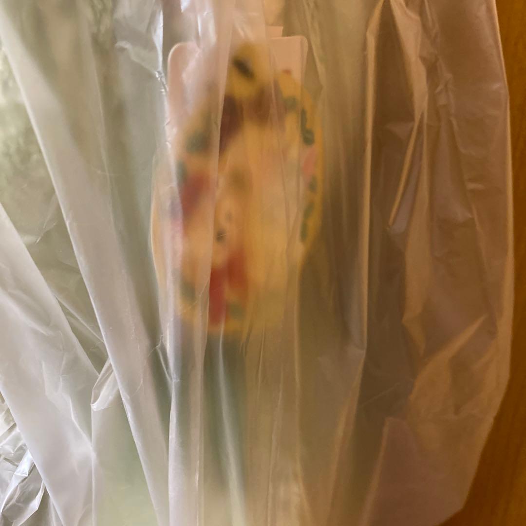 ディズニーシー　クリスマス　ジェラトーニ　ぬいぐるみ Mサイズ