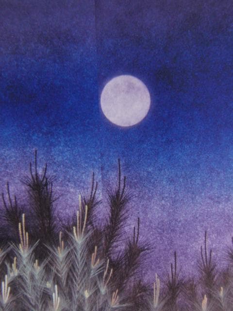 泉東臣、寂光、希少な額装用画集より、新品高級額装付、状態良好