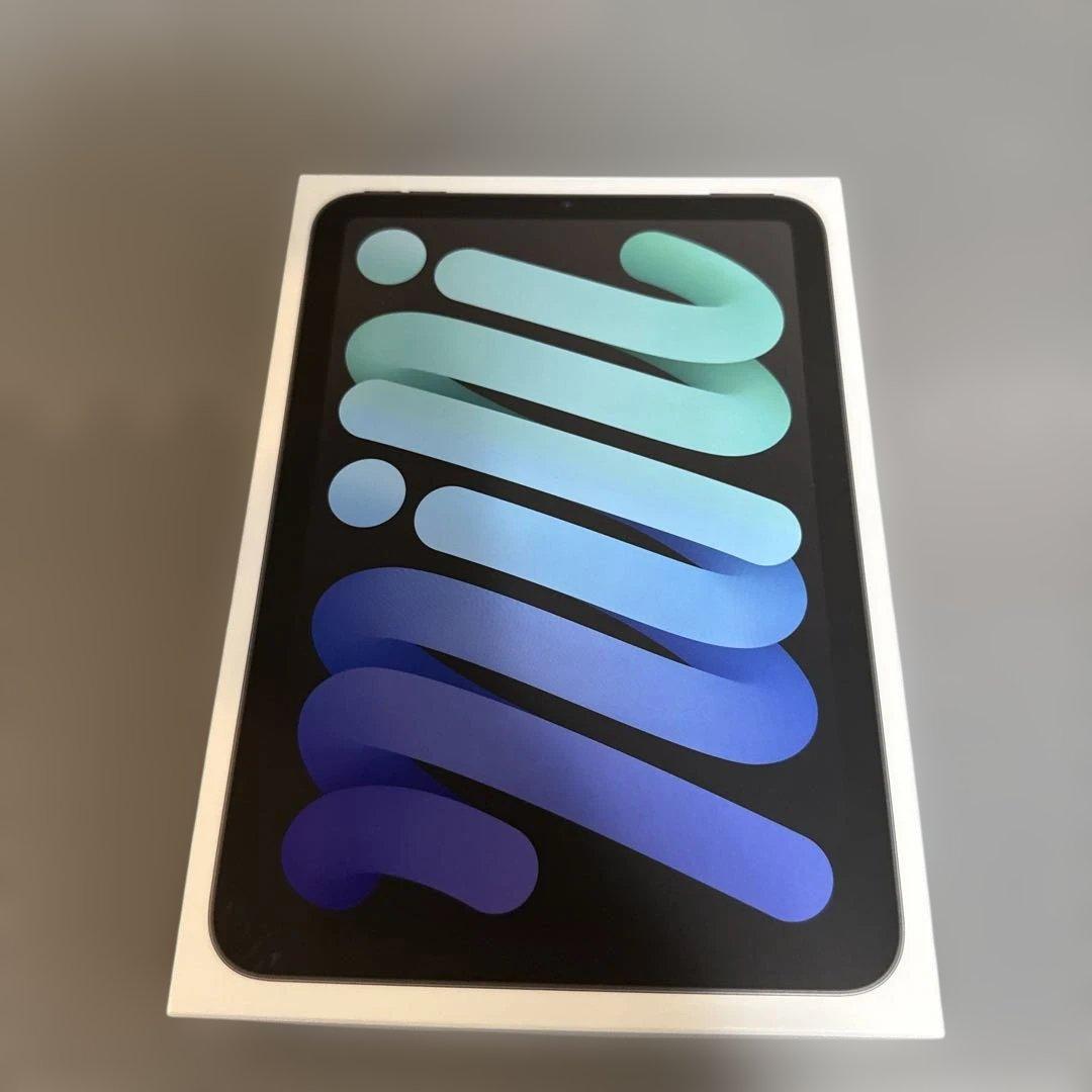 ipad mini 第7世代 スペースグレイ 256GB WiFiモデル