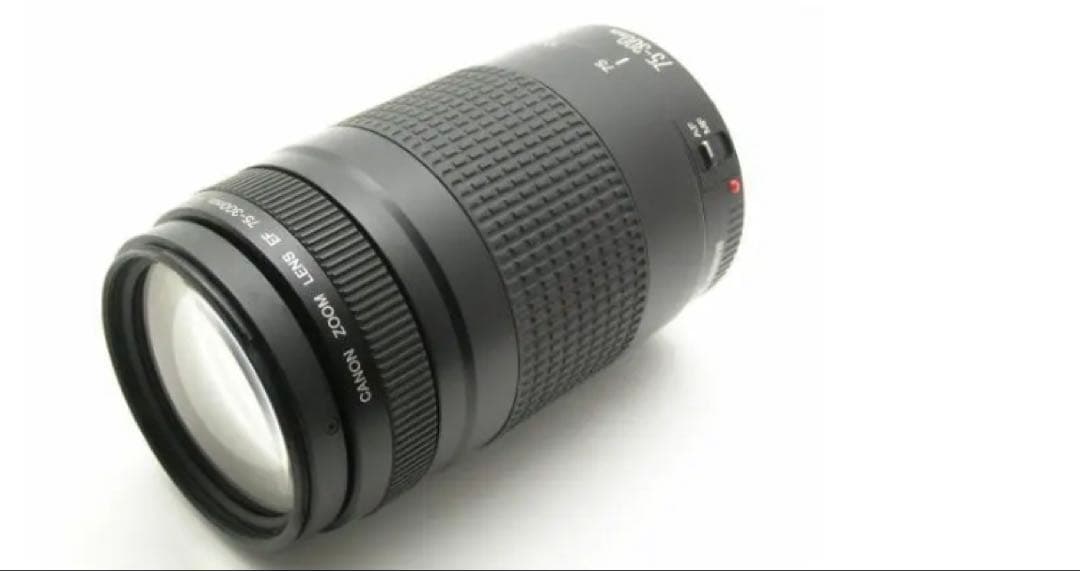 大望遠レンズ/大迫力の300㎜キヤノン/Canon EF75-300 II