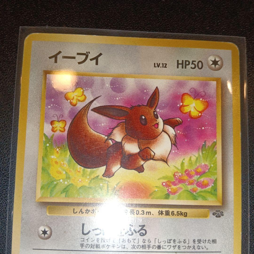 イーブイ ● 第2弾拡張パック ポケモンジャングル