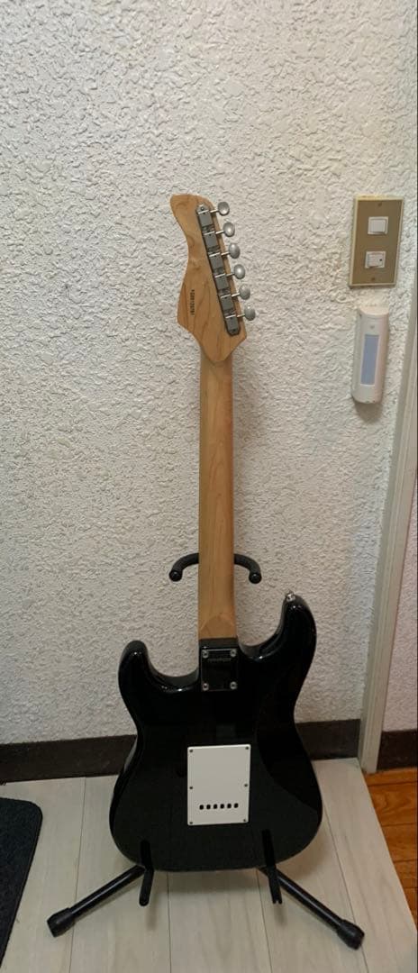 FERNANDES フェルナンデス　エレキギター　FG