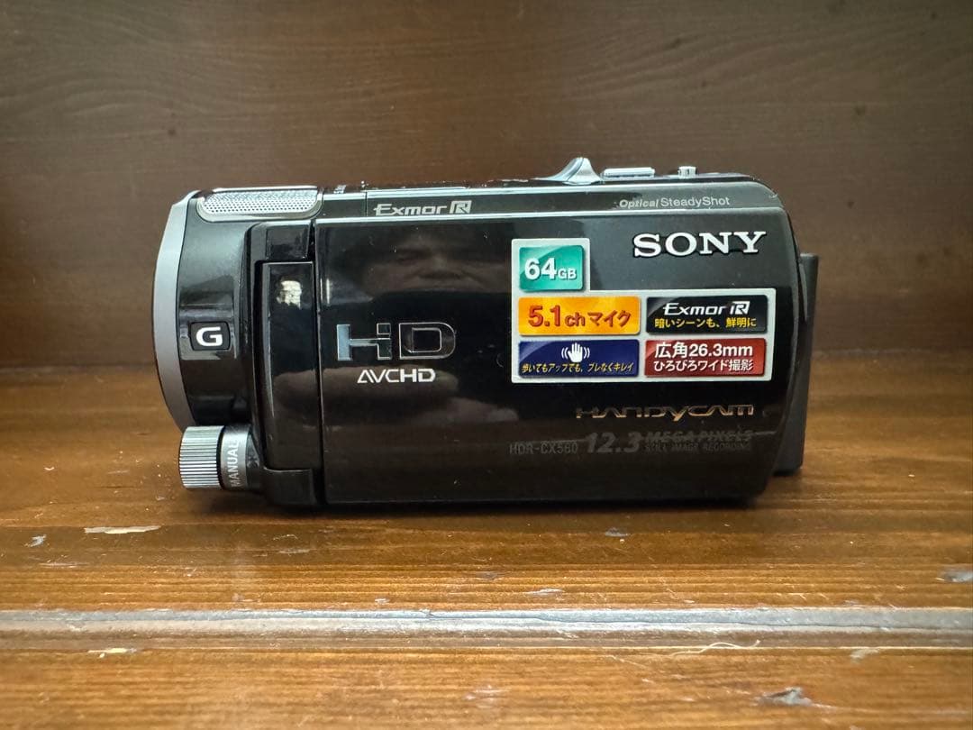 ビデオカメラ SONY Handycam HDR-CX560V