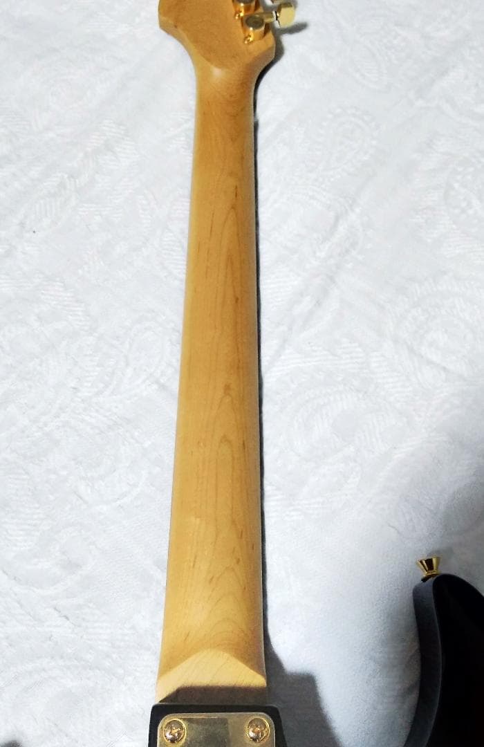 Anboy（フジゲン）AN-25 状態良好・メンテ調整済（CANARE3m付き）