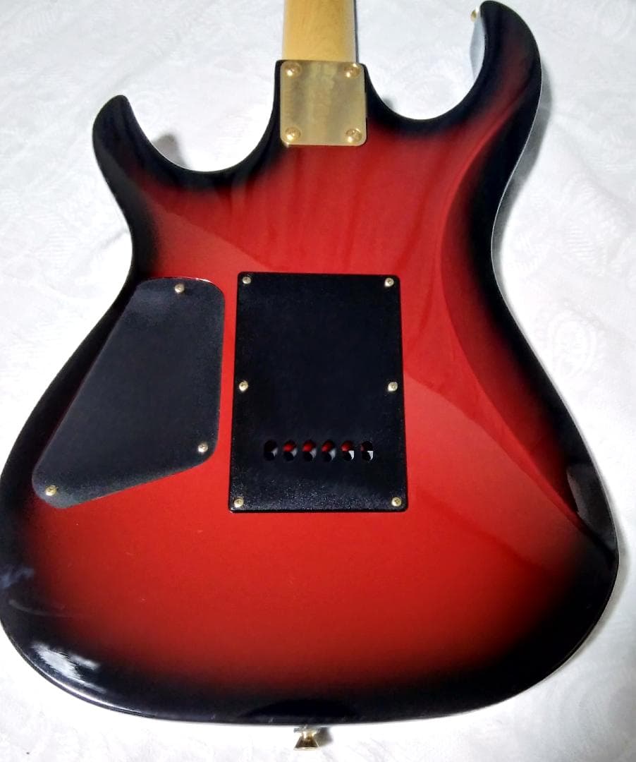 Anboy（フジゲン）AN-25 状態良好・メンテ調整済（CANARE3m付き）