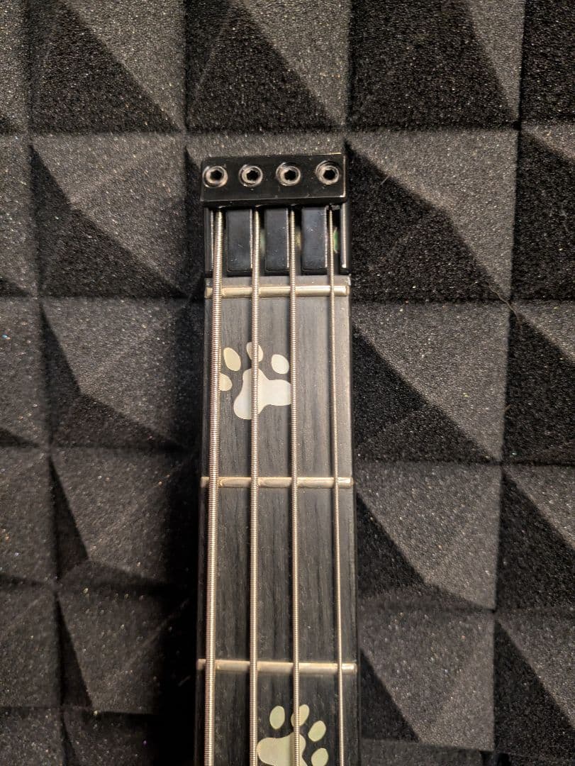 ベース Spirit by Steinberger XT-2 White