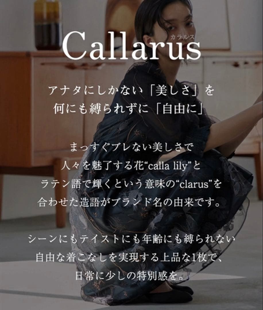 Callarus L L size フォーマルワンピース