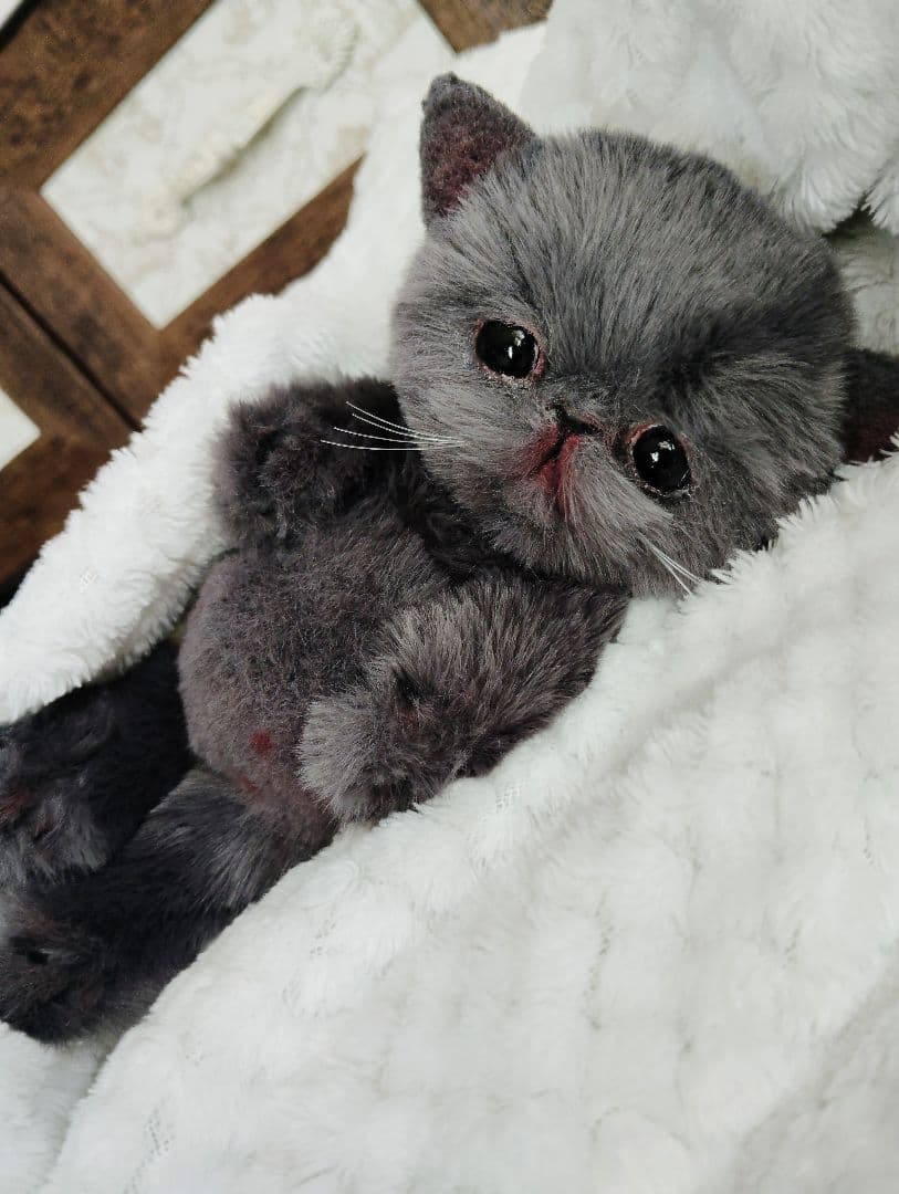 ミントグリーン様御予約❤️くりくりオメメ♡生後２週間♡子猫の黒豆ちゃん