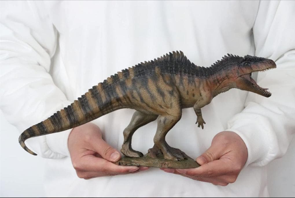 Sumo様　3点セット