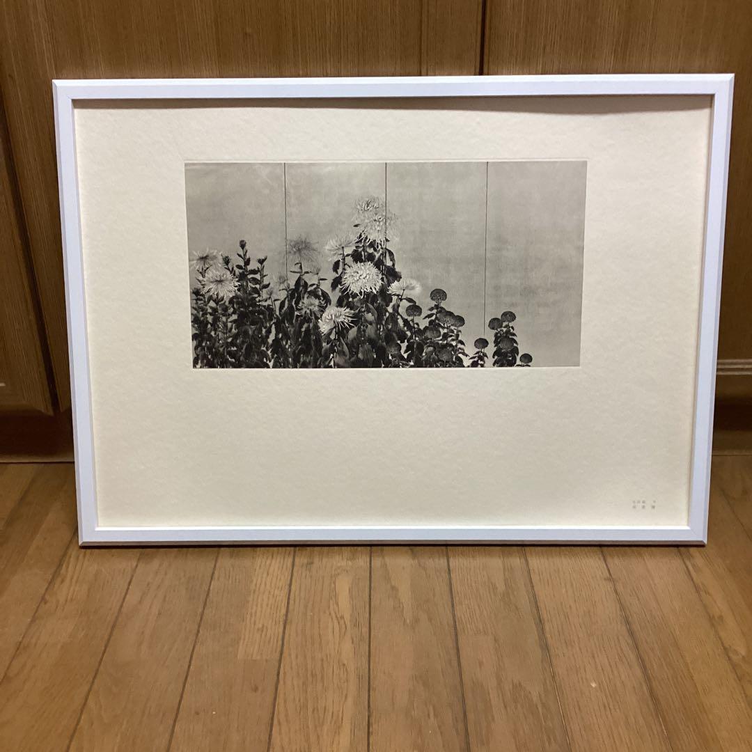 天才画家　速水御舟　作品集大作編　便利堂監修　画集NO 9 【菊花図】