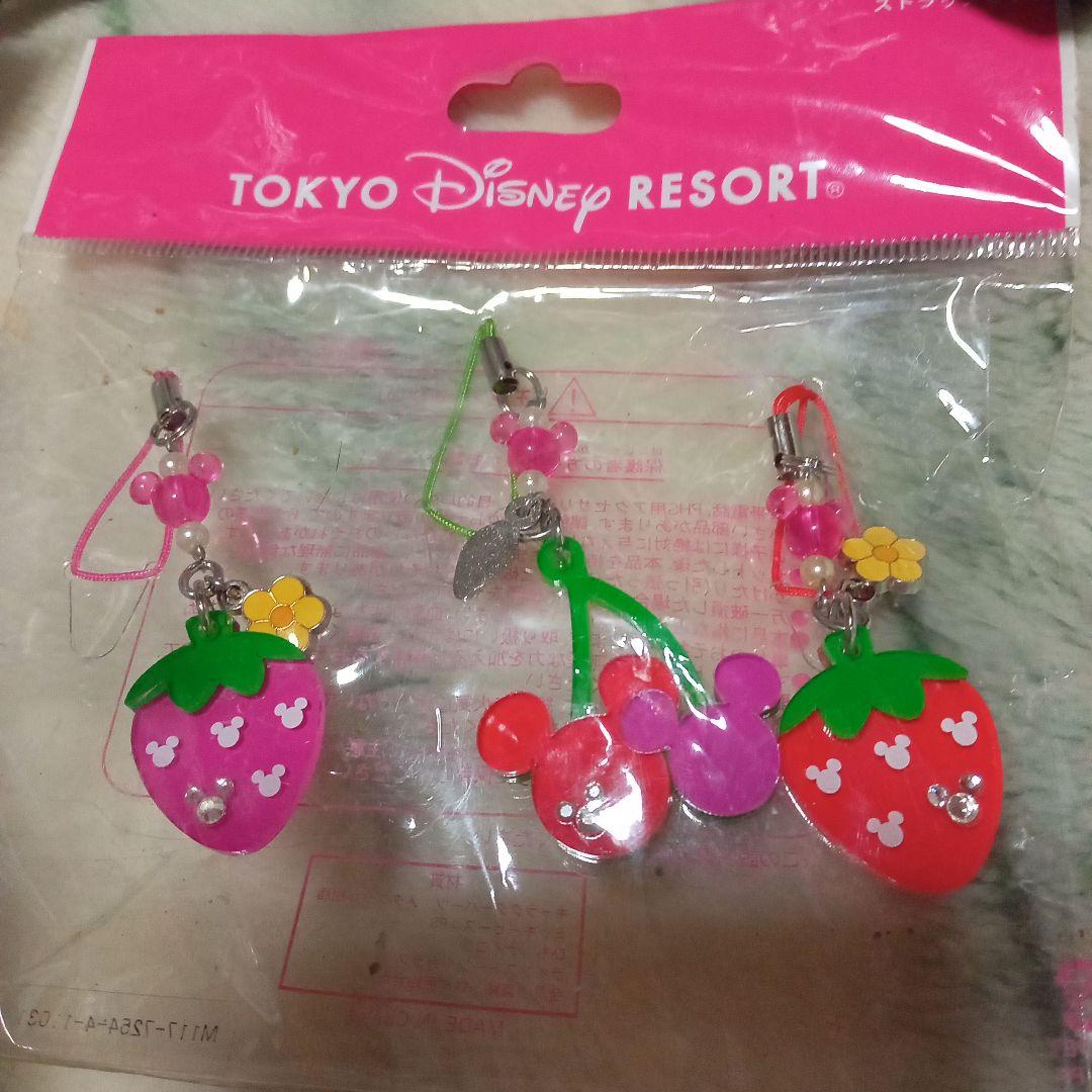 東京Disney　resort