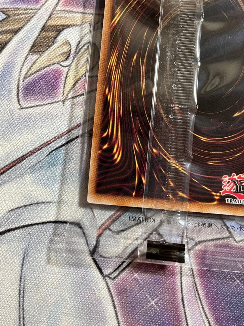 2025年　日本選手権　優勝　プロモ