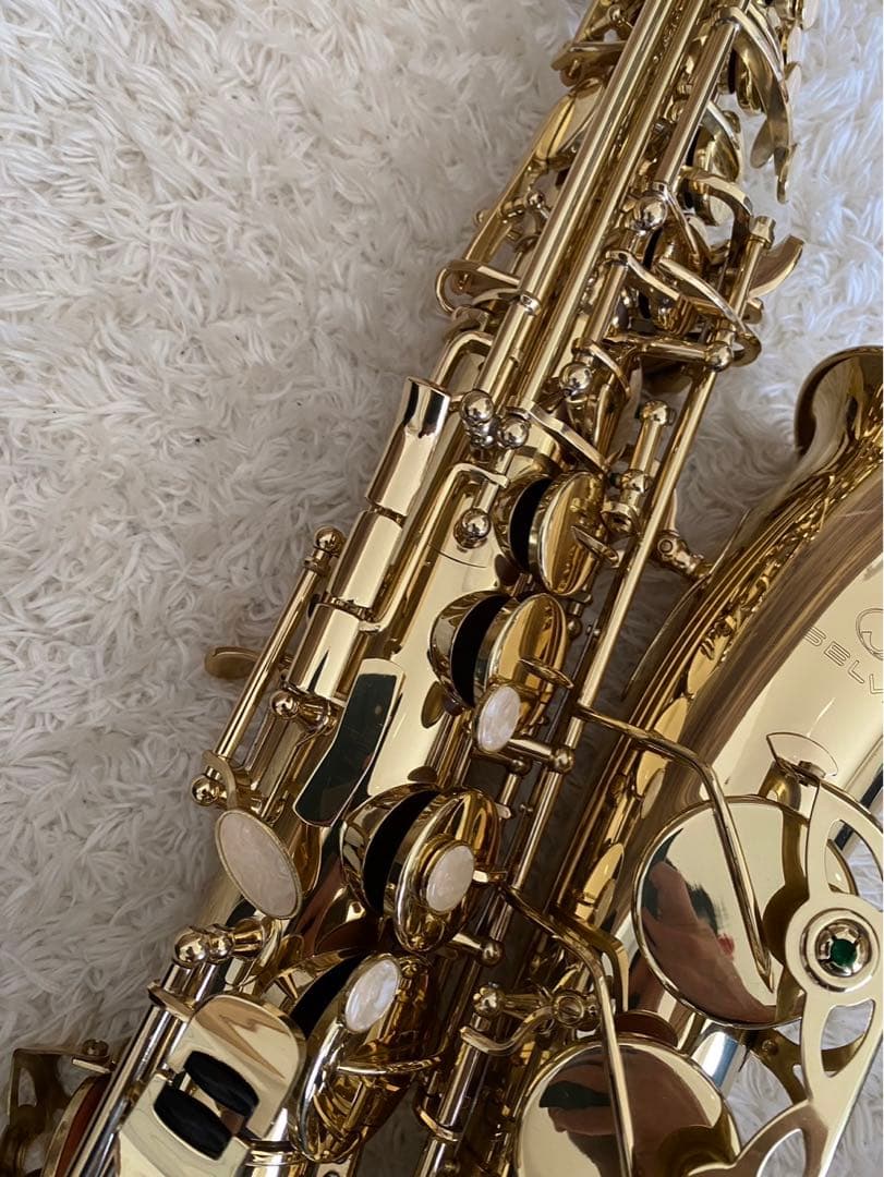 美品！ SELVAセルバ　サックス 管楽器 ケース付 彫刻