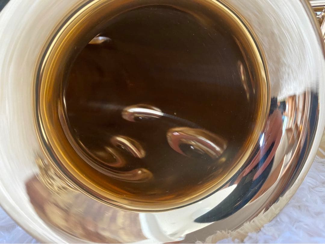 美品！ SELVAセルバ　サックス 管楽器 ケース付 彫刻