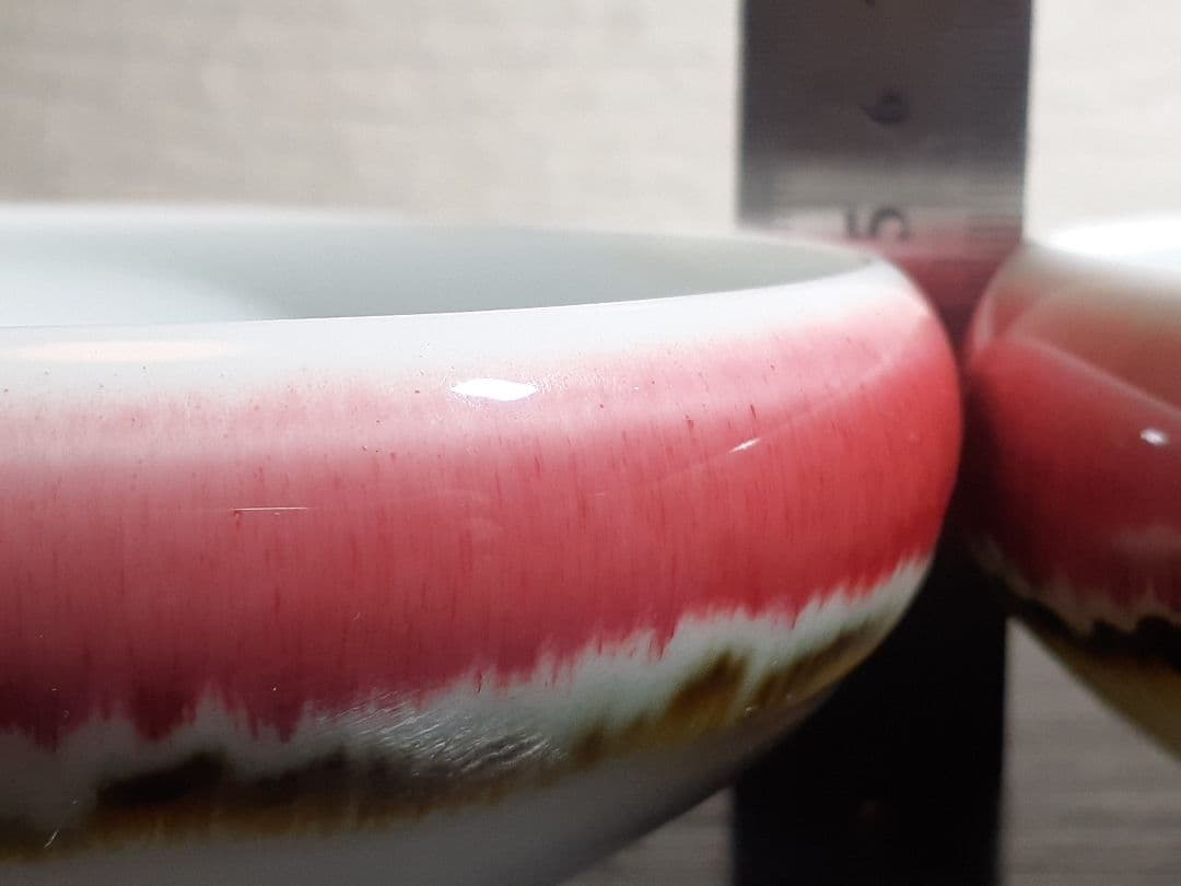 有田焼 馬場 九洲夫作 銘々深うつわ染錦　辰砂柚　真右衛門 真右エ門 真右ェ門