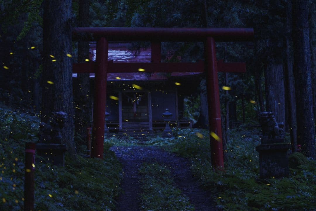 く*だ様 Canon 1DX チャージャー付き　値下げ交渉少しOK　CF2カード