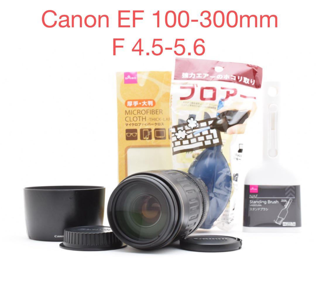 望遠 ズームレンズ Canon EF 100-300mm F 4.5-5.6