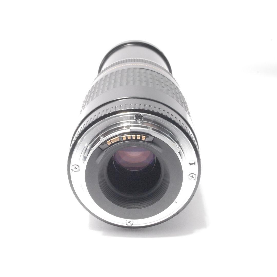 キャノン Canon EF 75-300mm 望遠レンズ 遠くの春も、すぐそばに