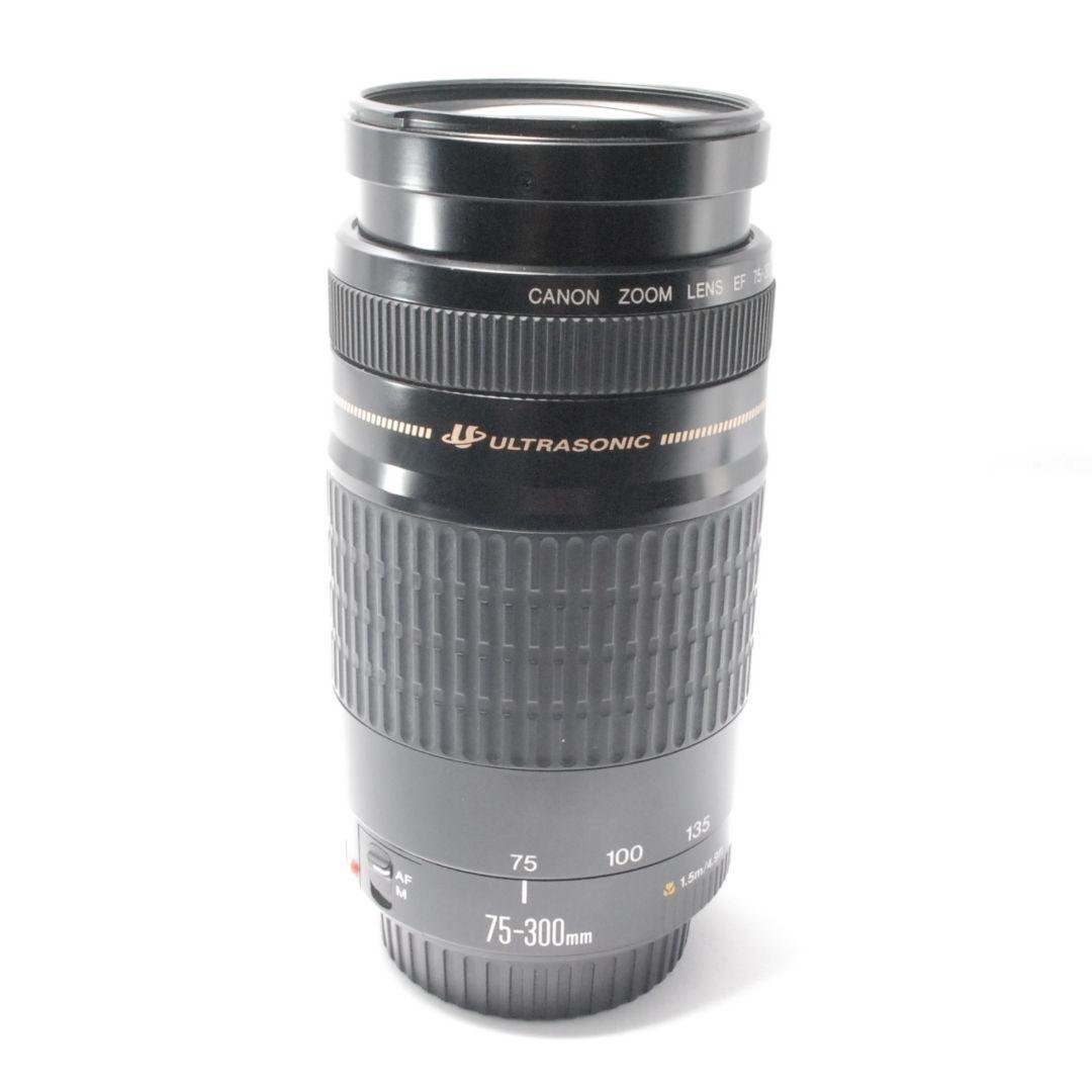 キャノン Canon EF 75-300mm 望遠レンズ 遠くの春も、すぐそばに