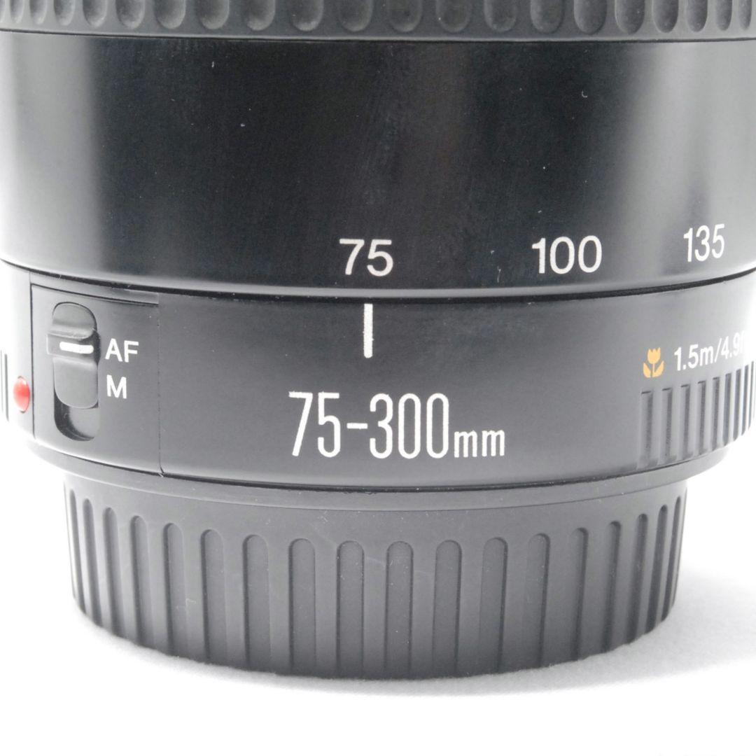 キャノン Canon EF 75-300mm 望遠レンズ 遠くの春も、すぐそばに