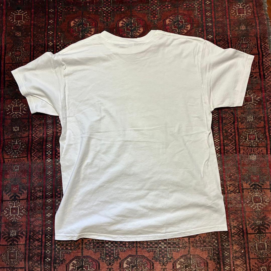 8*8様 90S 00S TOKEMON ポケモン フルーツオブザルーム XL