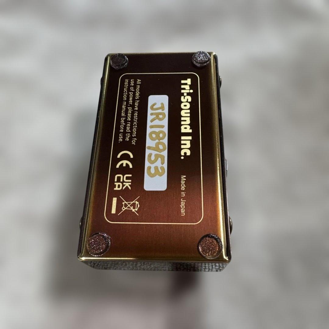 ギター Vemuramu Jan Ray