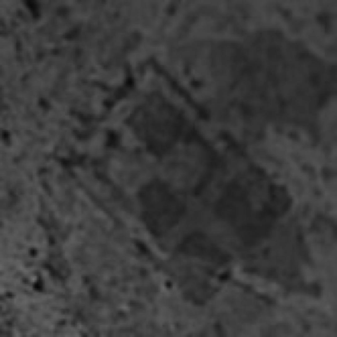 希少　スワロフスキー　クリスタル　スズメの置物