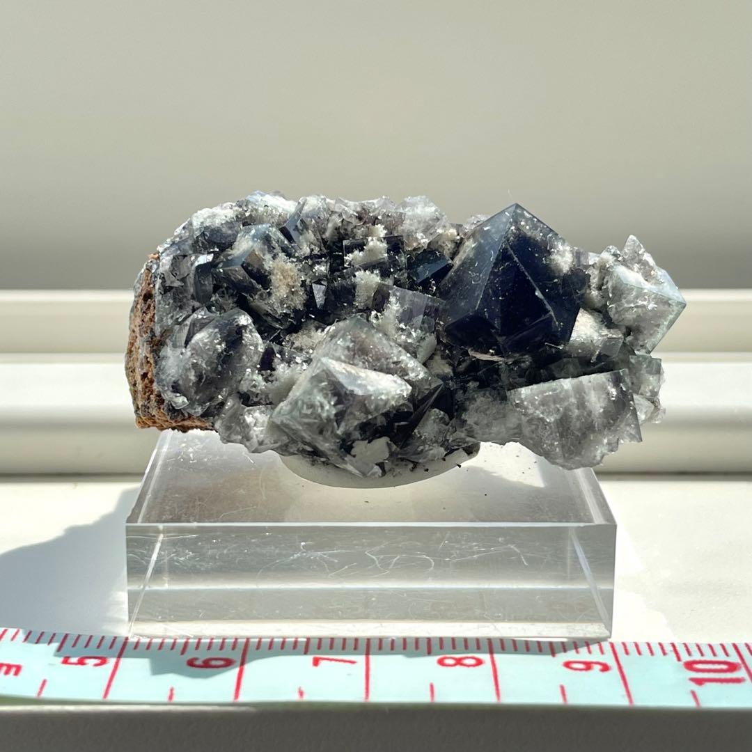 Diana Maria Smoky Rabbit Pocket フローライト