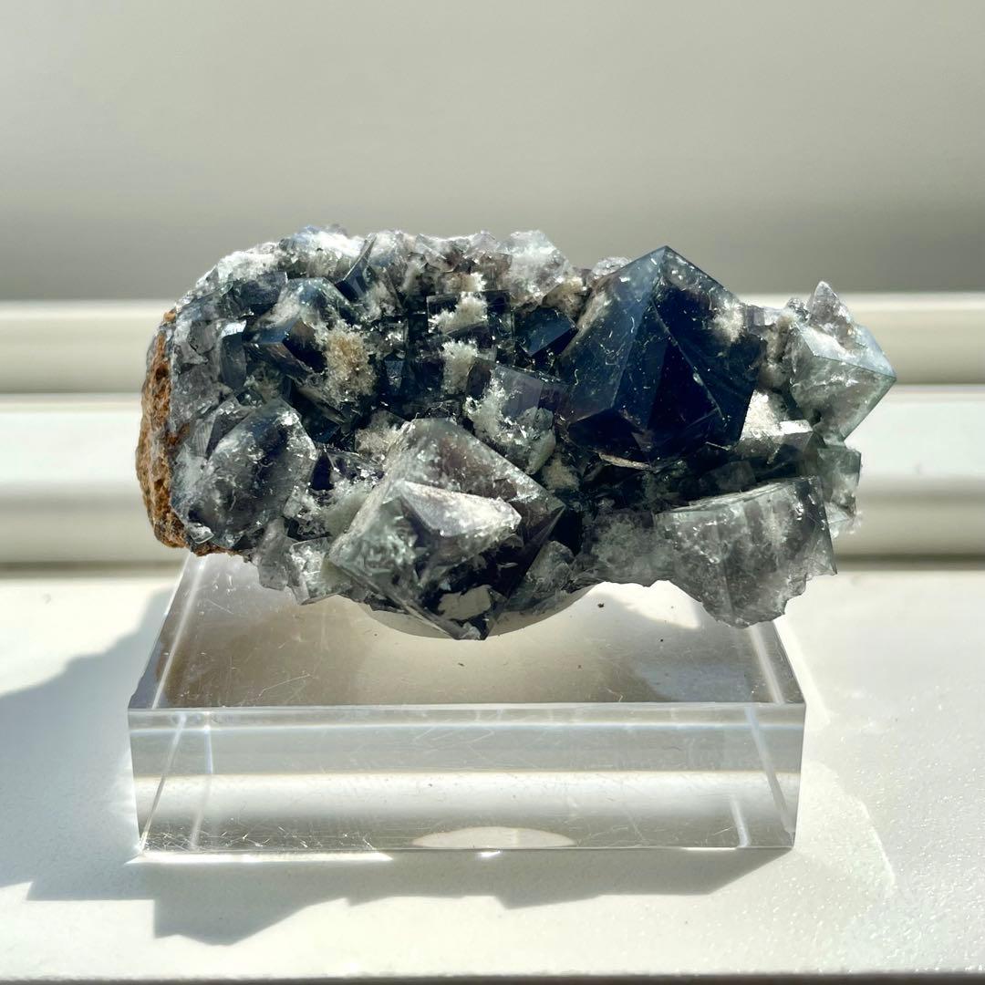 Diana Maria Smoky Rabbit Pocket フローライト